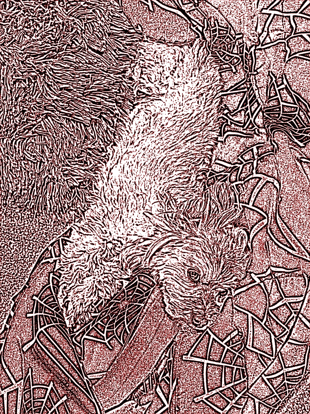 Eidos contour processing output